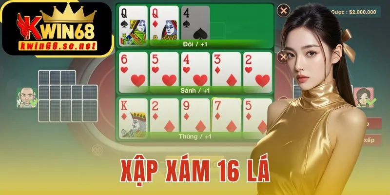 Xập Xám 16 Lá